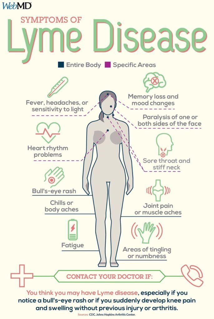 Lyme Disease